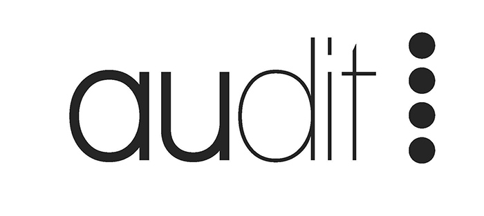 Logo Master AUDIT - Site IAUR